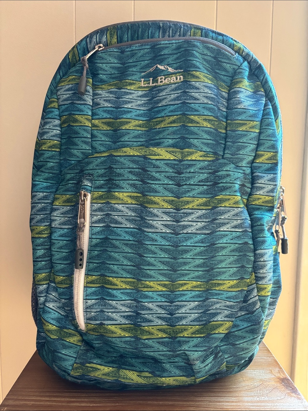 LL Bean  Big Nylon Ledge Laptop backpack—super roomy, green &blue pockets galore